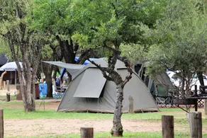 Golden Leopards - Manyane Resort - Image 3