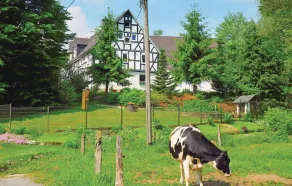 Awesome Apartment in Bad Berleburg-bergh. With 2 Bedrooms and Wifi - Image 4