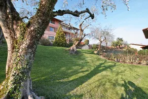 Appartamento il Moresine - Image 5