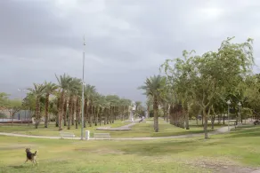 Zimmer-Eilat - Image 5
