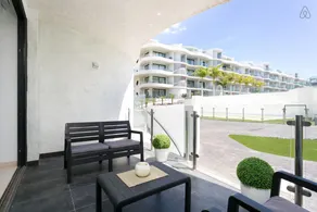 Palmar White - Image 2