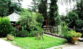 B&B Circolo Ippico Semprevisa - Image 3