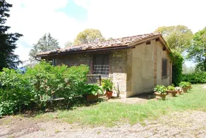 Casina - Image 4
