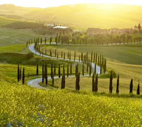 Palagio 14 in Chianti With Shared Pool - Image 5