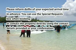Irabujima Dolphin - Vacation STAY 10418v - Image 3