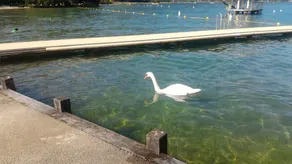 Annecy Vue Lac, traversant & lumineux Nature Calme by ImmoConciergerie - Image 3