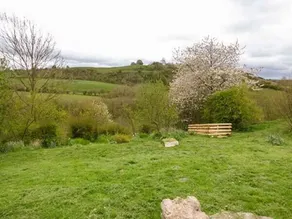 Coed Y Gaer - Image 5