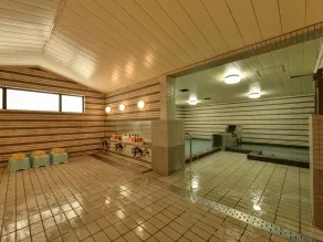 Oze Iwakura Resort Hotel - Image 5