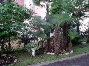 VILLA CRISTINA N.15 - Image 2
