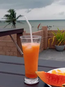 Green Ayurvedic Beach Resort - Image 5