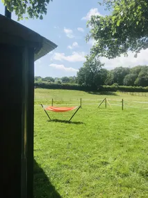 Stud Farm - Image 2