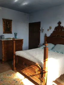 Hotel Masia Can Vive - Image 4