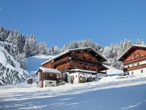 Comfortable Apartment With Garden Near Ski Area in Tyrol - Image 4