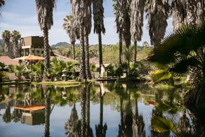 Indian Springs - Image 4