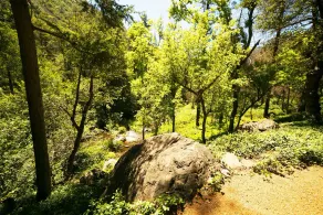 Orchard Canyon On Oak Creek - Image 4