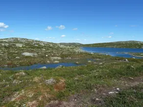 Furulie Cabin - Flå - Image 4
