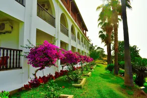 Onar Village - Image 5