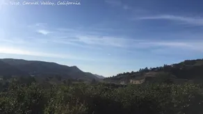 "the Nest" in Carmel Valley - Image 4