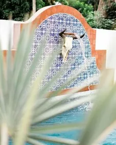 La Bohemia Baja Hotel Pequeño - Image 3