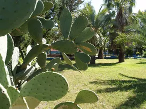 Hotel Corallo - Image 2