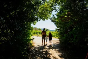 Lodge en Pays Cathare - Image 4