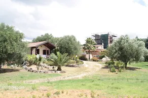 Cascina Coppola Holiday Home with private pool - up to 11 guests - Image 4