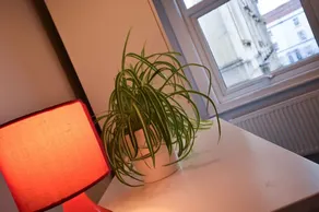 Central contemporary 3 bedroom flat in Bristol - Image 5