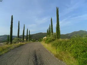 Fattoria Di Statiano - Image 4