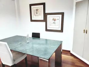 LARGE Apartment with large and sunny Terrace - Garden , ALICANTE CENTER - Image 5