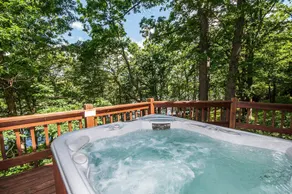 Schmidt Lodge House - Image 2