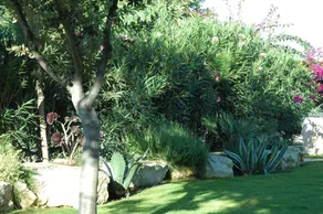 Alimede Ecodimora - Image 5