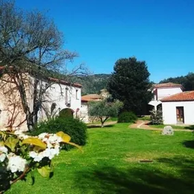 Taloro - Image 4