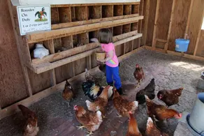 Rocky Acre Farm Bed&Breakfast - Image 5