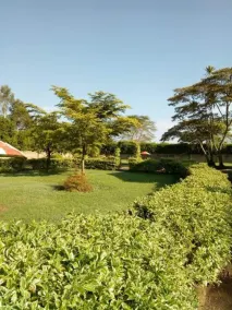 Stay.Plus Marura Holiday Villa Nakuru - Image 3