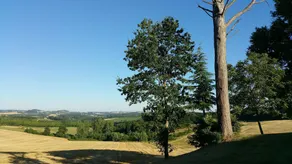 Mansion With 5 Bedrooms in Tombebœuf, With Enclosed Garden and Wifi - Image 4