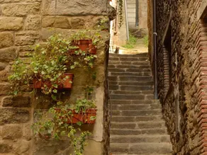 B&B Vicolo della Scala - Image 5