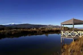Wombat Hills Cottages - Image 3
