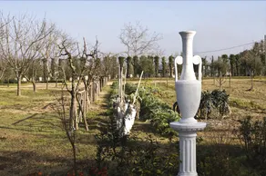 Cevoli Country Resort - Image 5