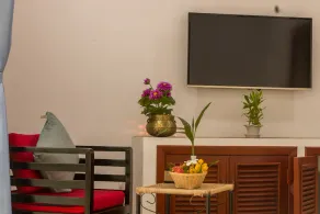 Eco Villa - Image 5
