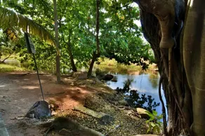 Chales Imbassai - Image 4