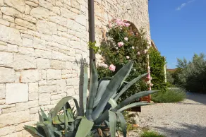 Villa Veleniki - Image 4