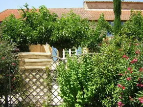 House With 3 Bedrooms in Sarrians, With Wonderful Mountain View, Priva - Image 5