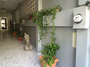 Tropical Bed & Breakfast - Image 4