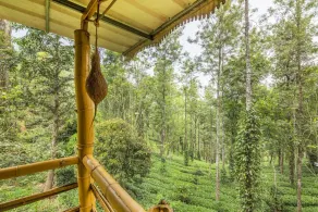 GuestHouser 4 BHK Tree house 7d51 - Image 4