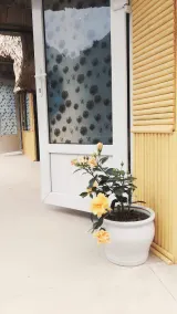 Hoi Lake Farmstay - Image 3