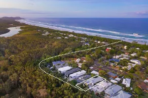Melaleuca - Image 3