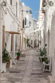Elegant Double Room in Ancient Masseria Near the sea in a Quiet Olive Trees - Image 5