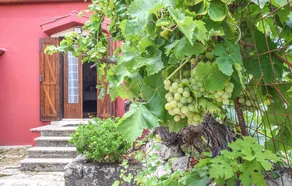 Beautiful Home in Noto With Wifi and 3 Bedrooms - Image 4