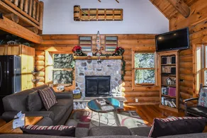 The Treehouse - Image 5