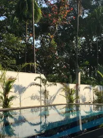 Silence Garden - Image 5